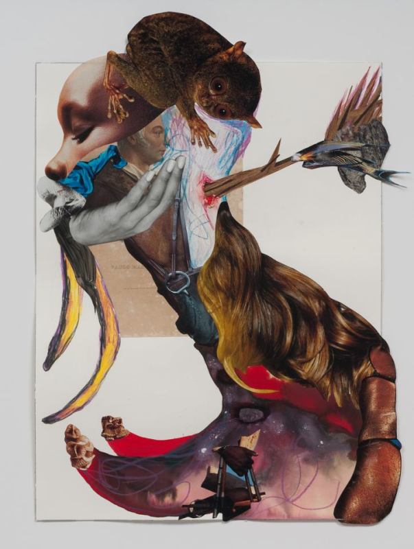 Wangechi Mutu: A Fantastic Journey” . Andy Warhol Foundation for the Visual Arts.