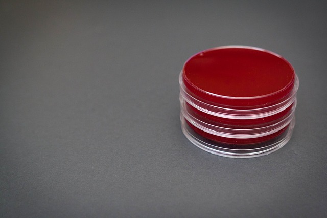 microbiology-359957_640